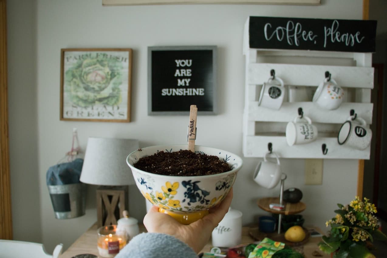 woman growing plants in home kitchen